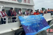 六爻简单浙江今年计划放流种类海洋水生生物苗种超15亿单位
