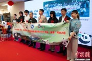 六爻简单中国彩绘熊猫艺术国际巡展东京站开幕