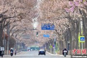 六爻简单共建“花园城市” 北京这场议政会“百花齐放”